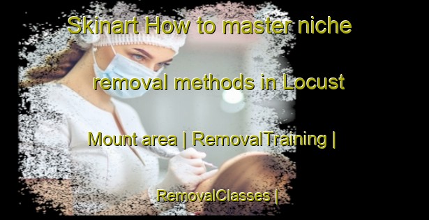 Skinart How to master niche removal methods in Locust Mount area | RemovalTraining | RemovalClasses | SkinartTraining-United States